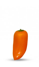 Snack pepper frais toutes couleurs 500 gr