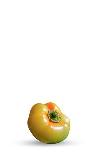 Graines De Piments Les Plus Piquants Du Monde - 9 Variétés Ultra Fortes, 90 Graines Pour Amateurs De Sensations Fortes