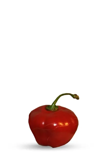 Red rocoto chili seeds - La Sauce Piquante