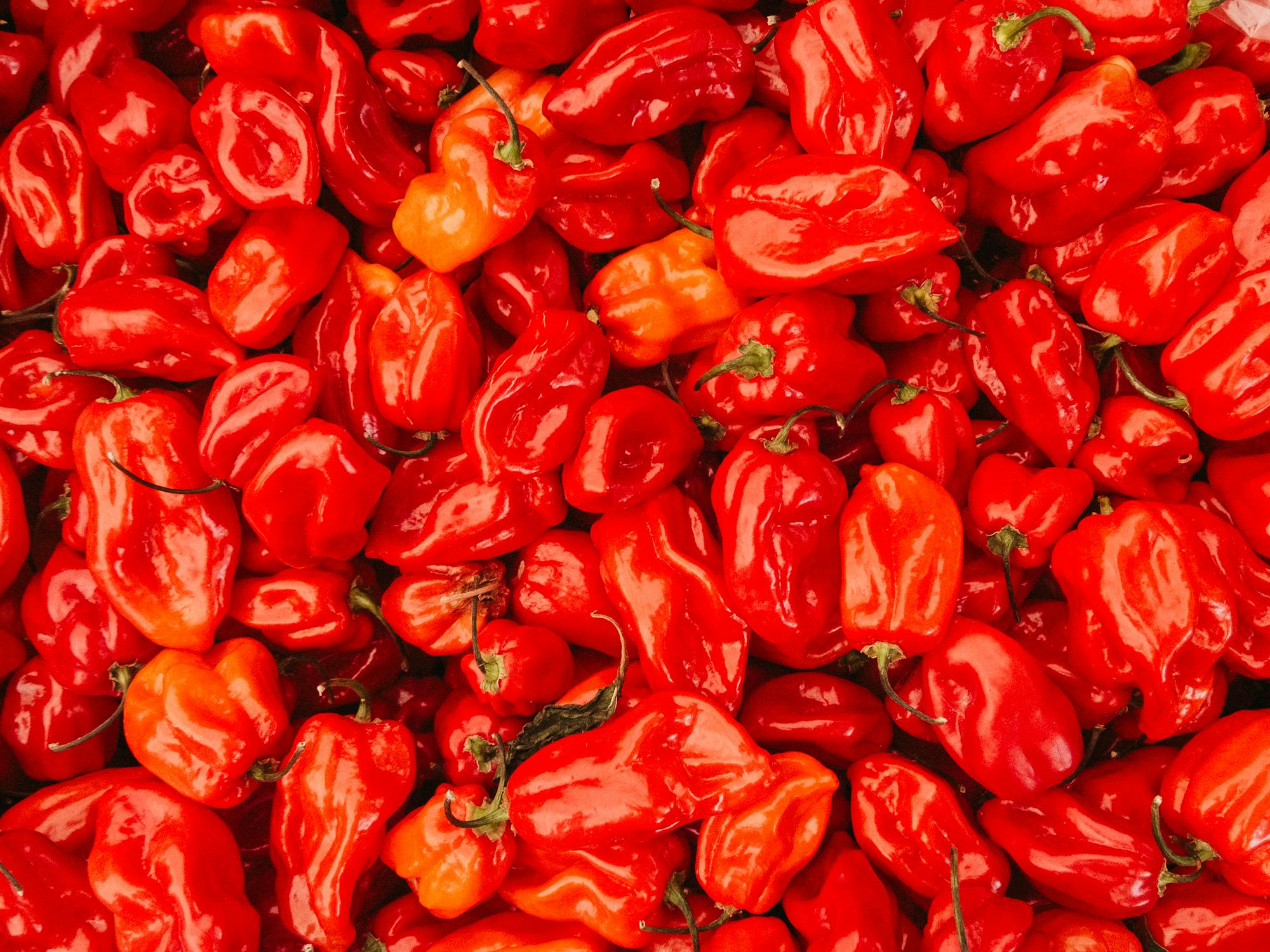 Piment habanero