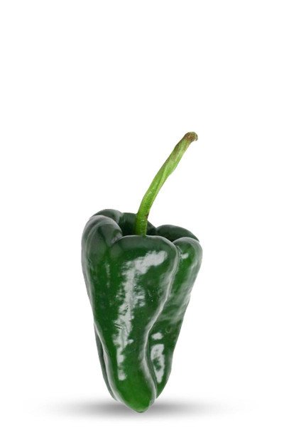 Le piment Ancho