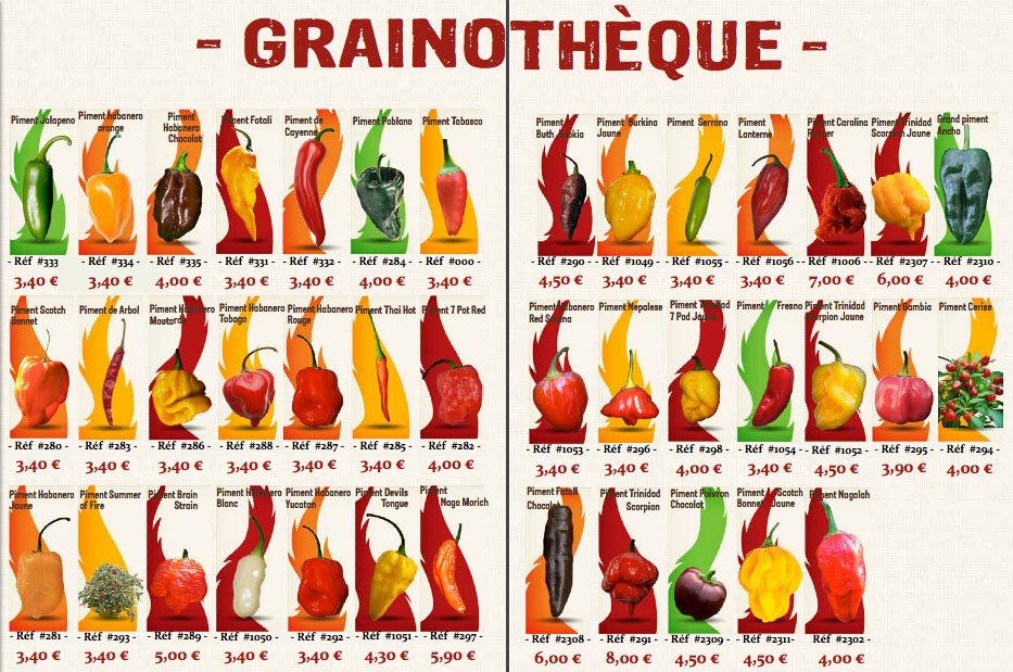 Semences de piment