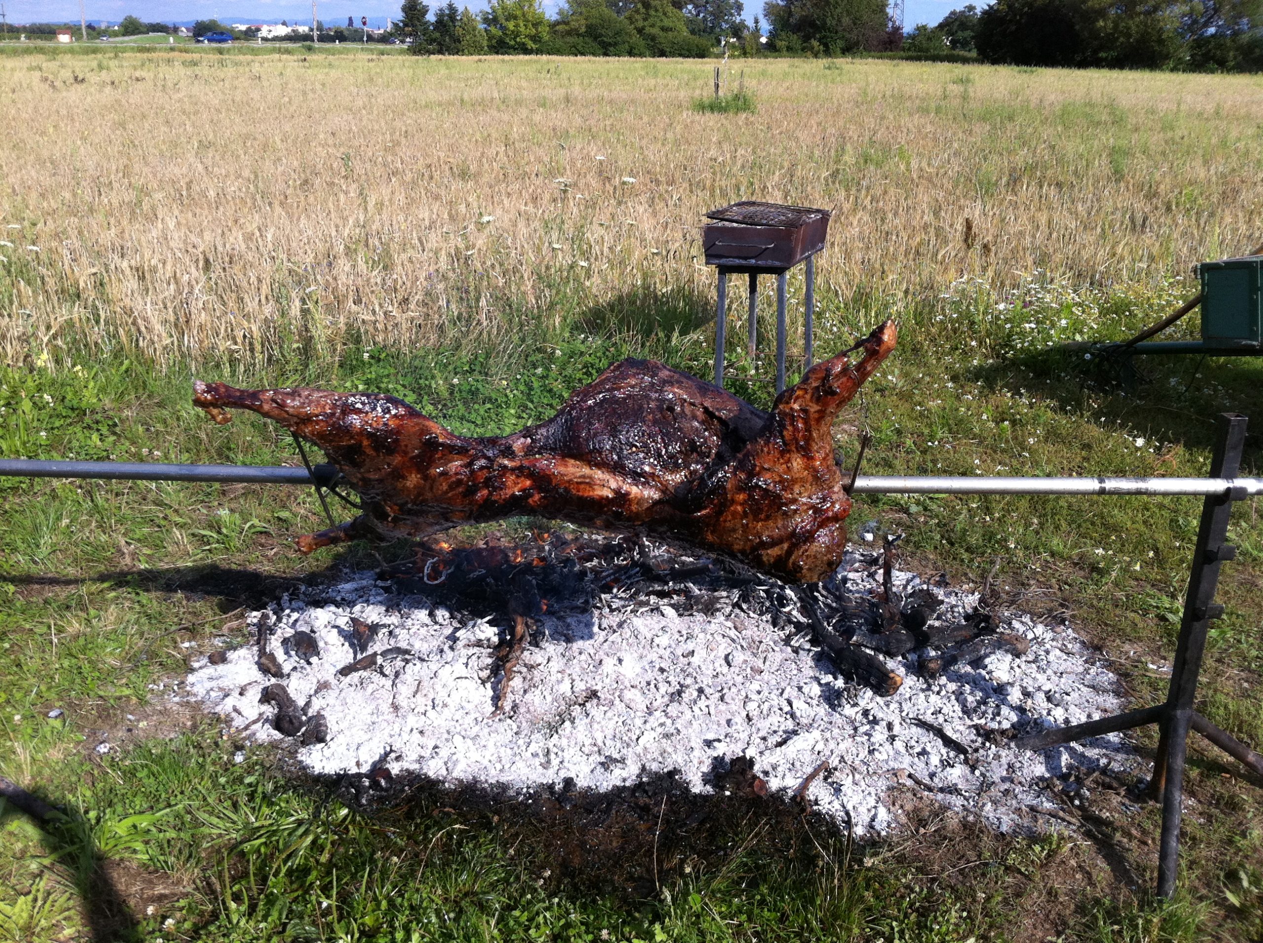 summer hot news