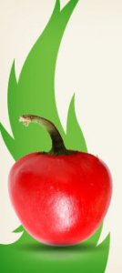 graine-cherry-bomb