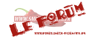 Forum sauce piquante