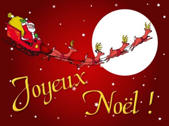 Joyeux noël piquant