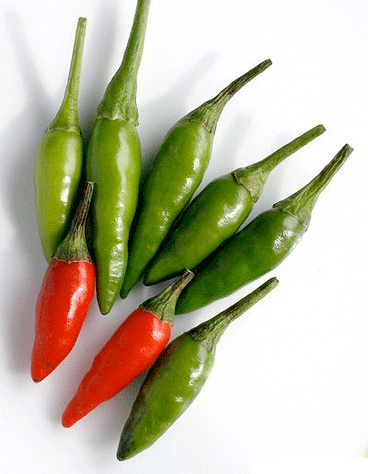 Espèces de piment…toi même