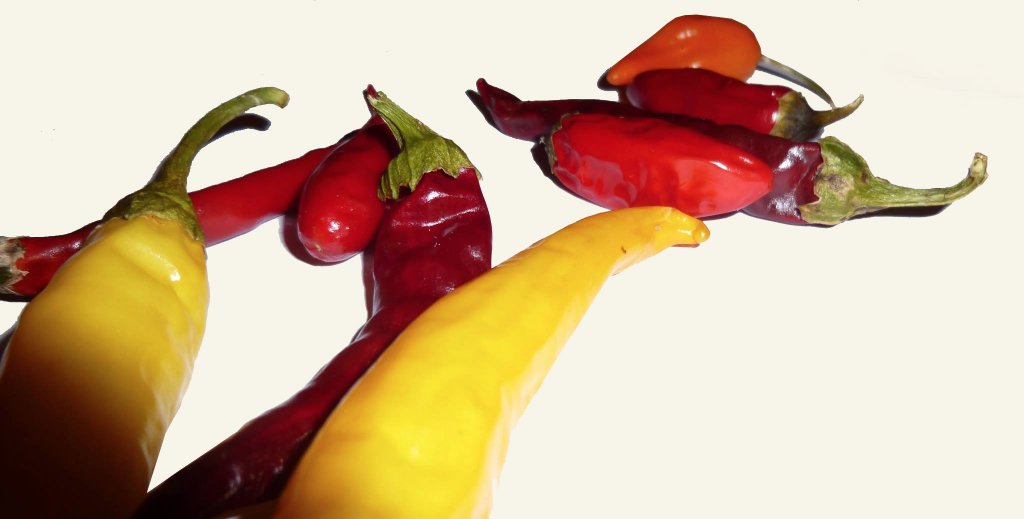 piments-tout-savoir
