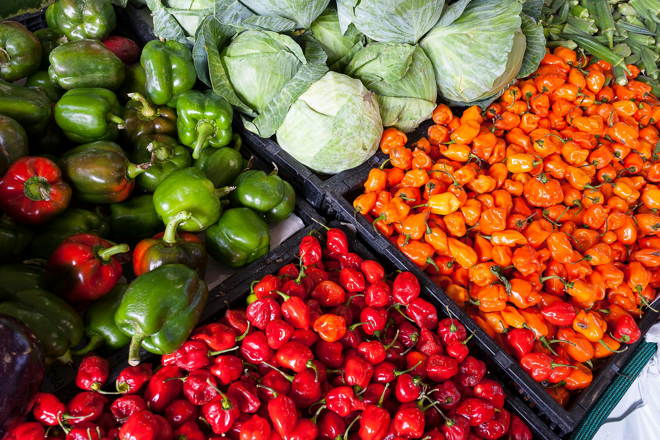 jamaican pepper