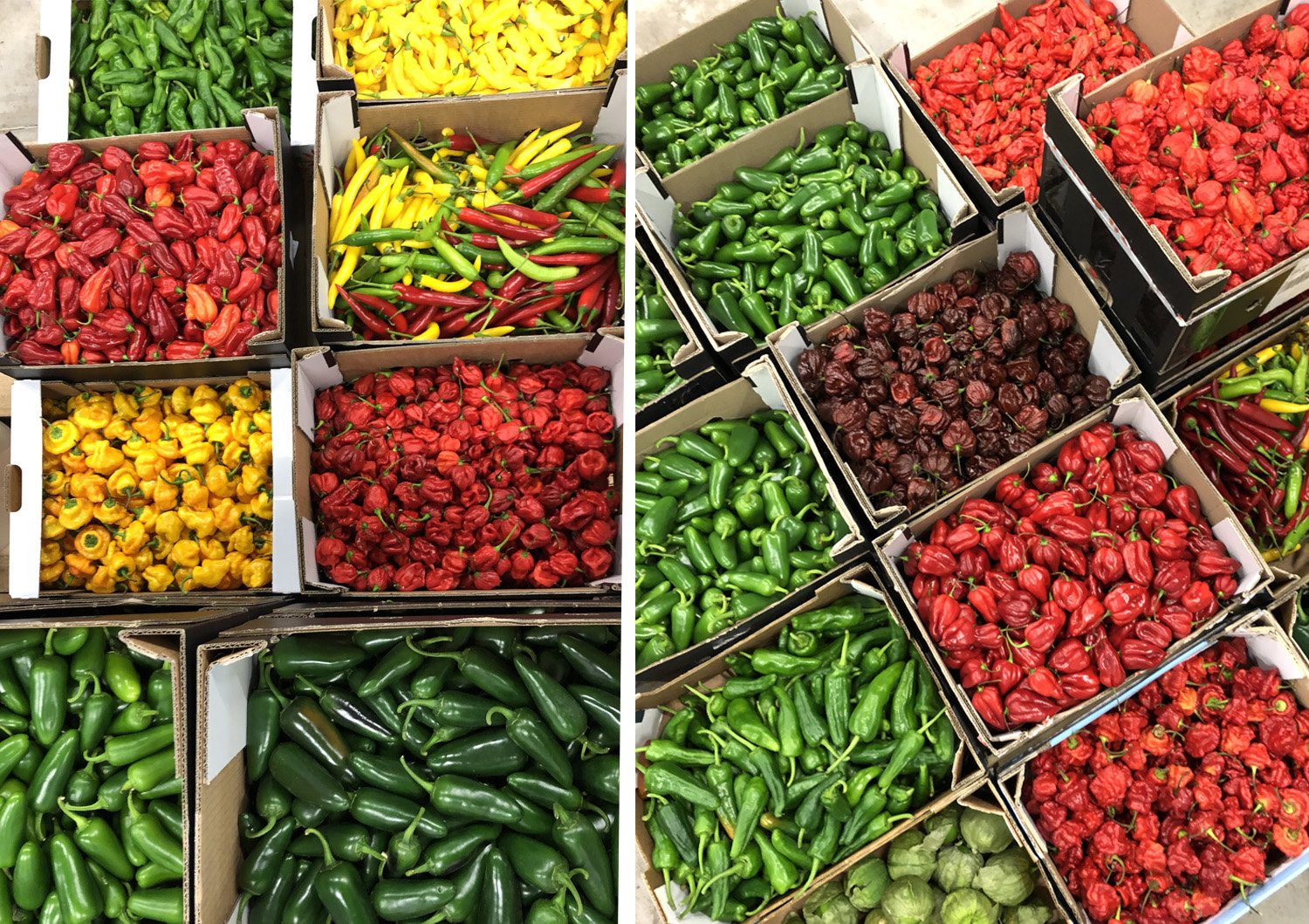 La plus grande variété de piments différents de France