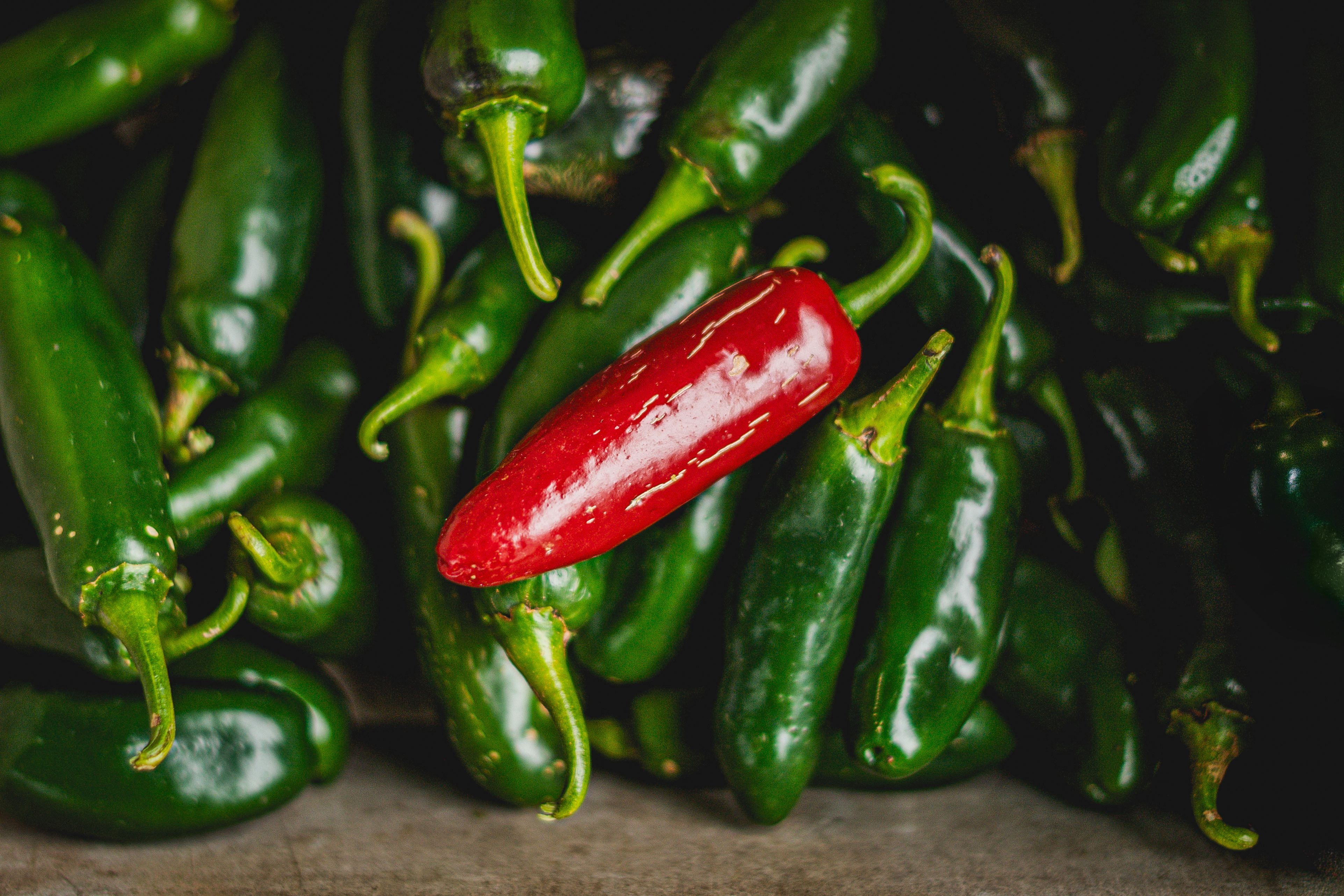 Fresh jalapeño peppers can be used in countless recipes