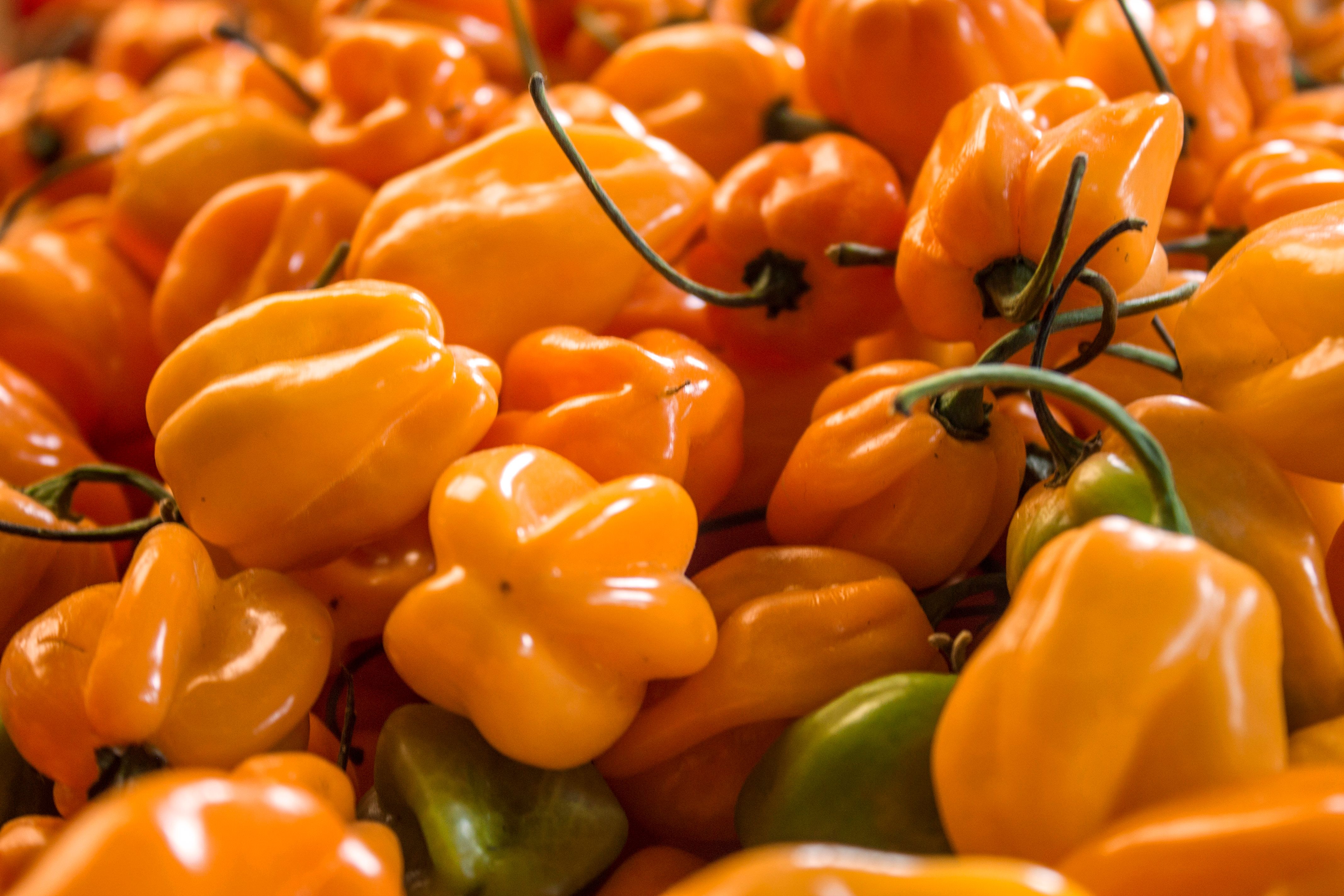 Piments antillais aussi appelés Scotch Bonnet
