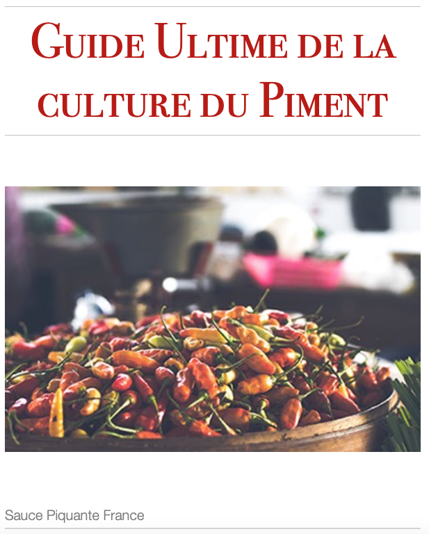Image Guide de culture comment cultiver son piment?